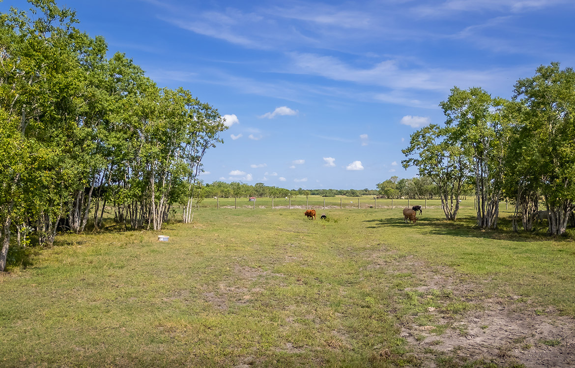 Rockin D Ranch 154 Acres For Sale in Galveston County Texas Image 13