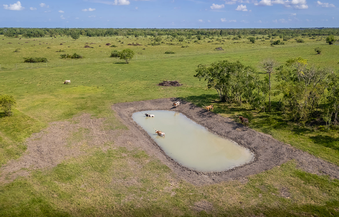 Rockin D Ranch 154 Acres For Sale in Galveston County Texas Image 4