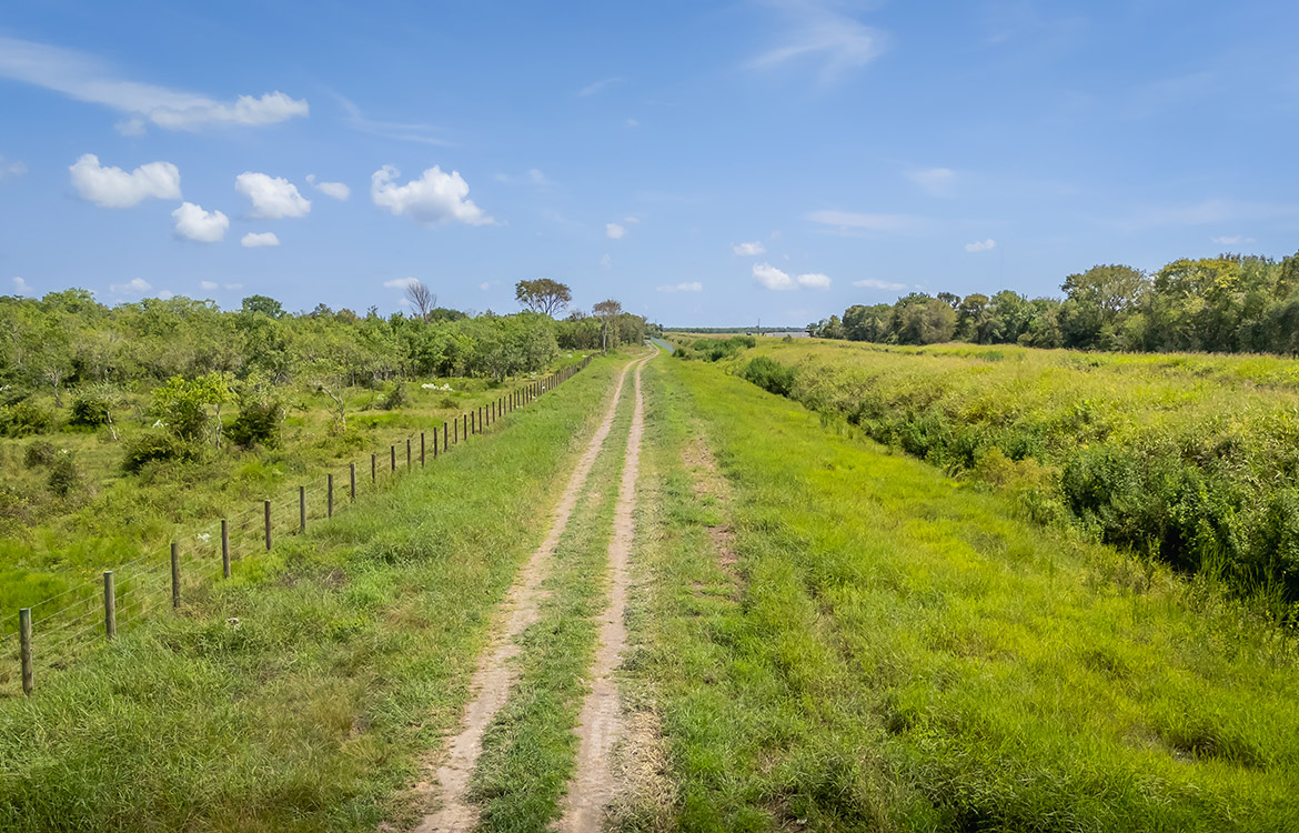 Rockin D Ranch 154 Acres For Sale in Galveston County Texas Image 6