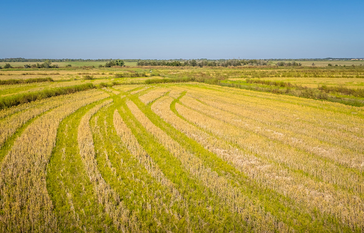 LaBelle Farm 1360 Acre Farm For Sale In Jefferson County Texas Image 1