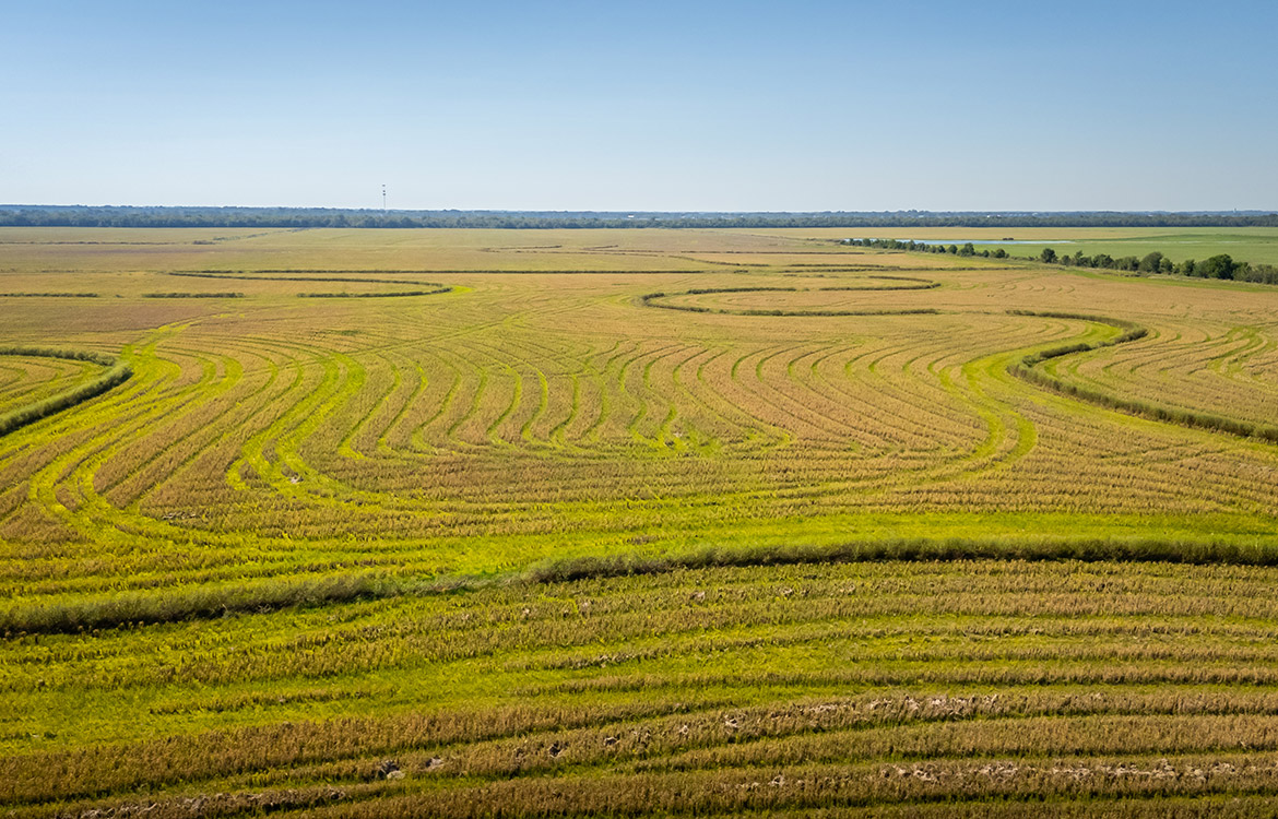 LaBelle Farm 1360 Acre Farm For Sale In Jefferson County Texas Image 10