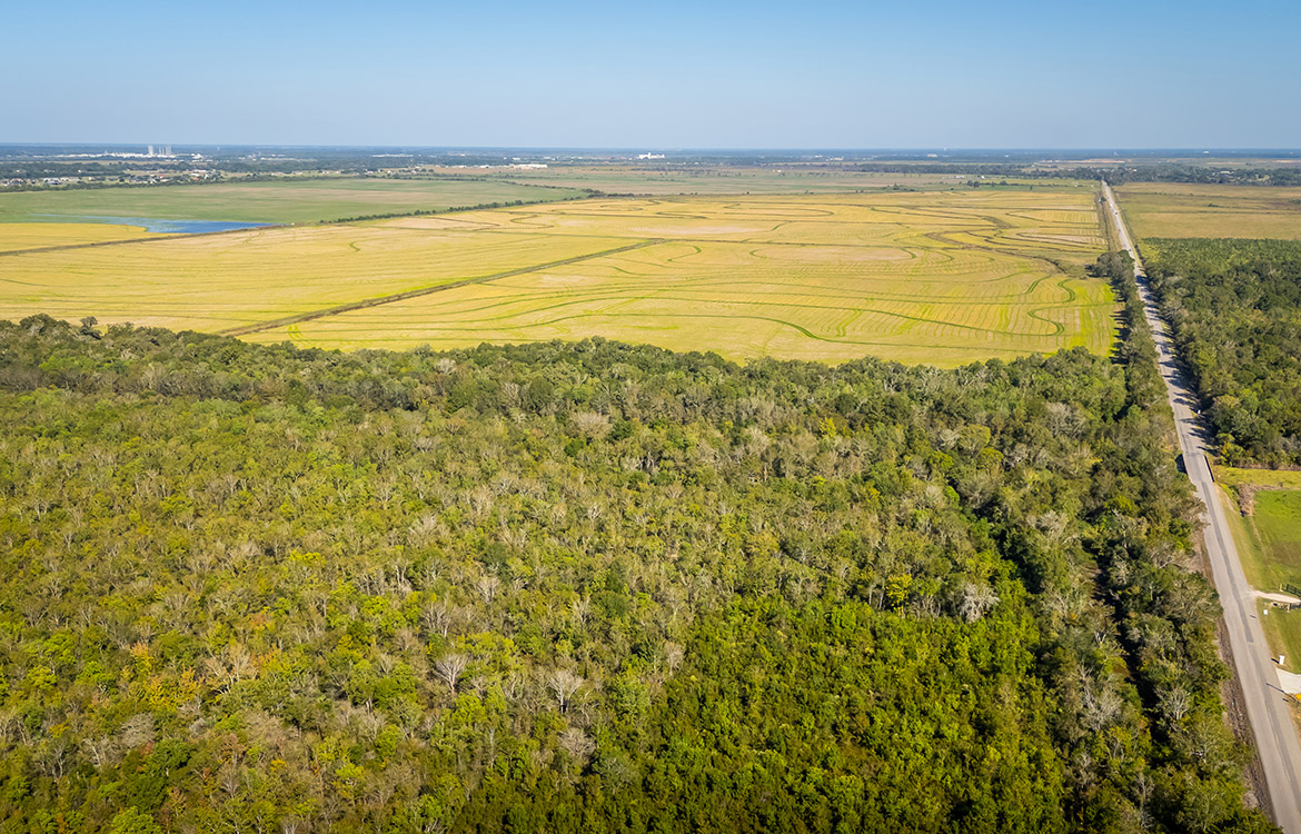 LaBelle Farm 1360 Acre Farm For Sale In Jefferson County Texas Image 13