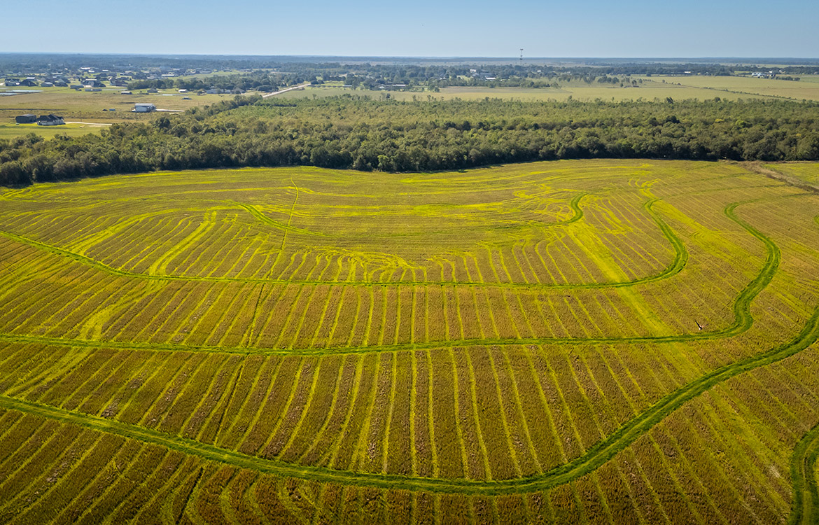 LaBelle Farm 1360 Acre Farm For Sale In Jefferson County Texas Image 14