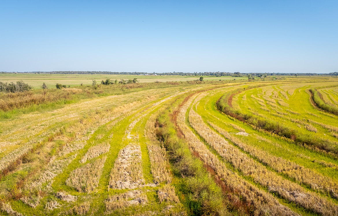 LaBelle Farm 1360 Acre Farm For Sale In Jefferson County Texas Image 16