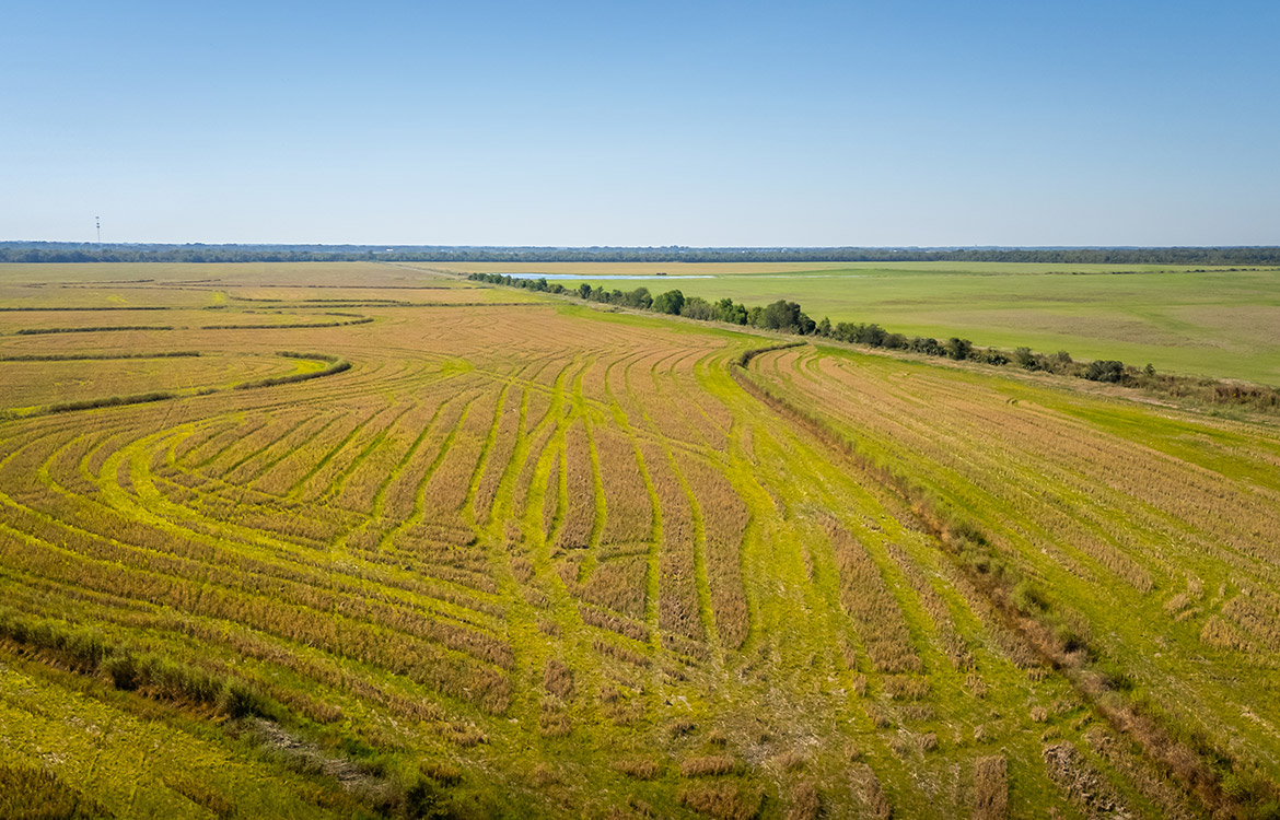 LaBelle Farm 1360 Acre Farm For Sale In Jefferson County Texas Image 18
