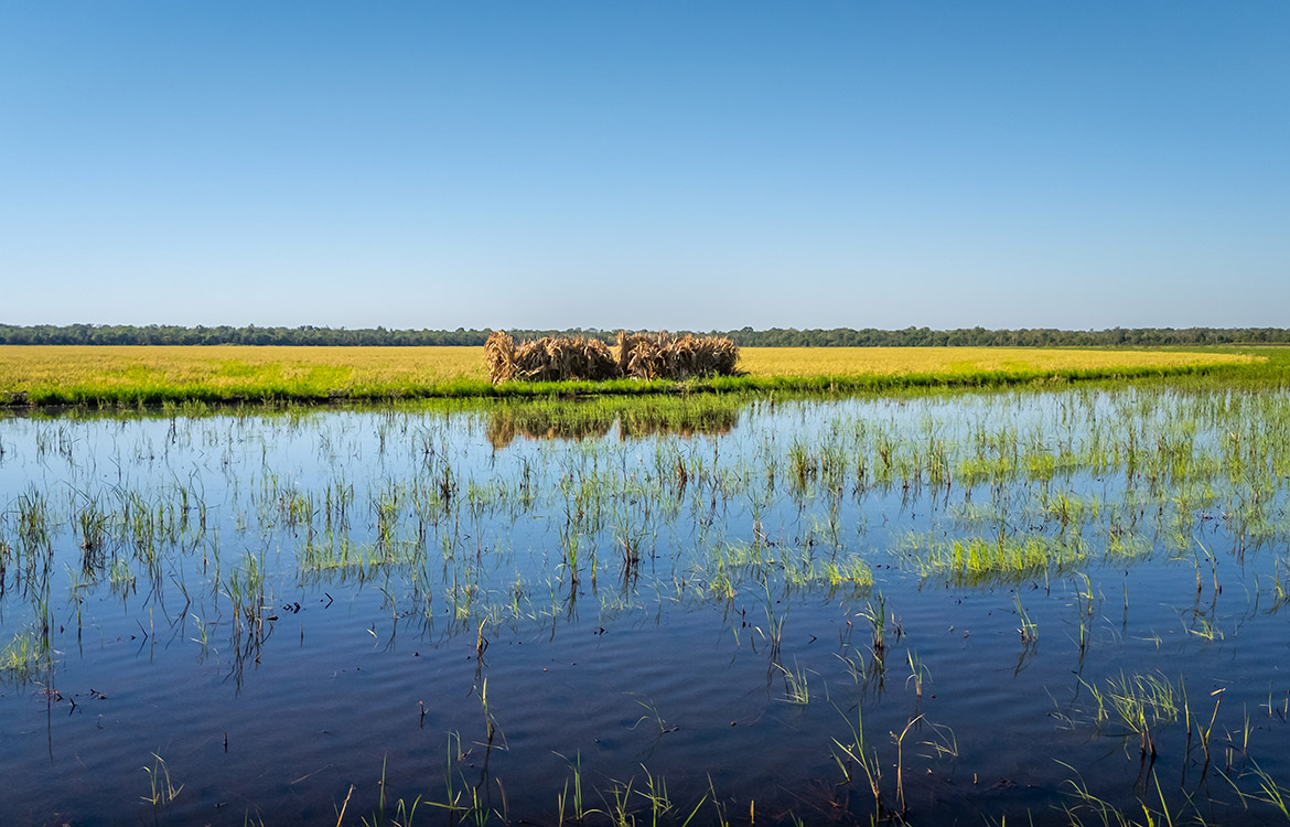 LaBelle Farm 1360 Acre Farm For Sale In Jefferson County Texas Image 3