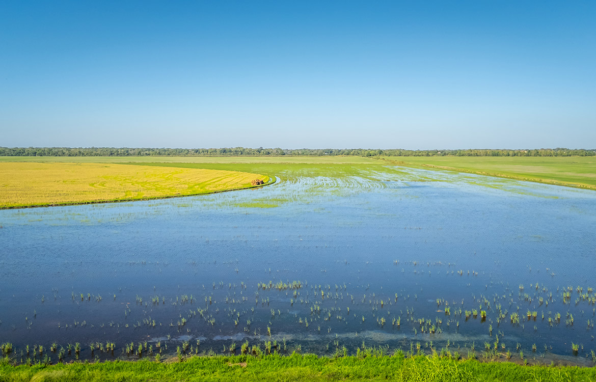 LaBelle Farm 1360 Acre Farm For Sale In Jefferson County Texas Image 4