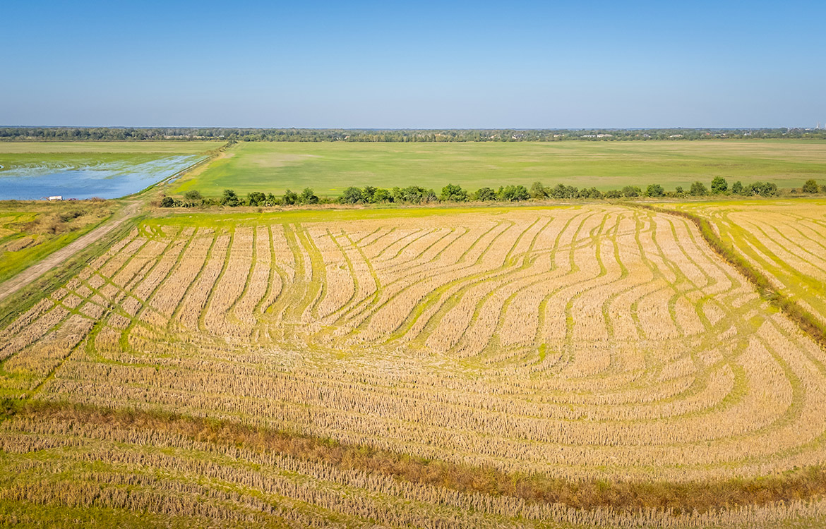 LaBelle Farm 1360 Acre Farm For Sale In Jefferson County Texas Image 7