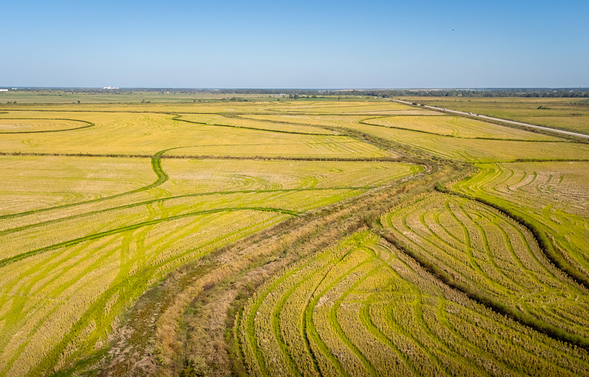 LaBelle Farm 1360 Acre Farm For Sale In Jefferson County Texas Image 8
