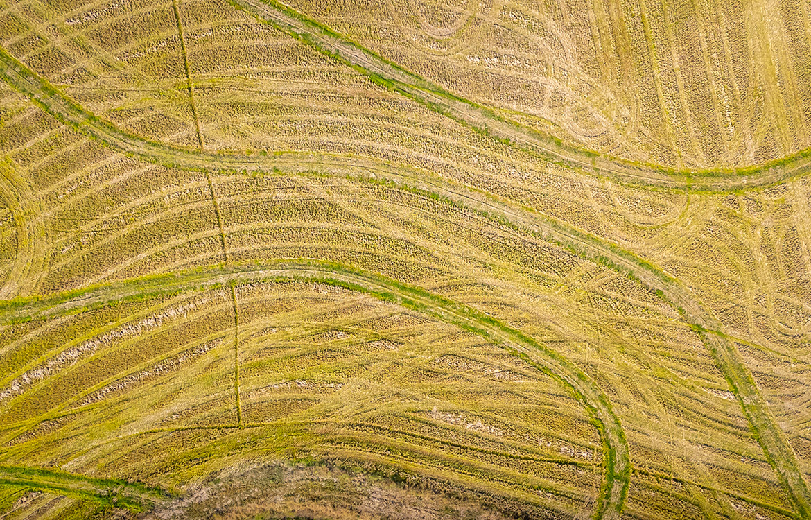 LaBelle Farm 1360 Acre Farm For Sale In Jefferson County Texas Image 9