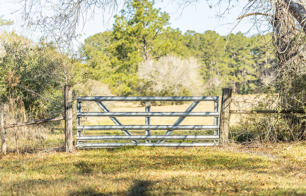 Old Sour Lake Farm 23 Acre Ranch For Sale In Jefferson County Image 9