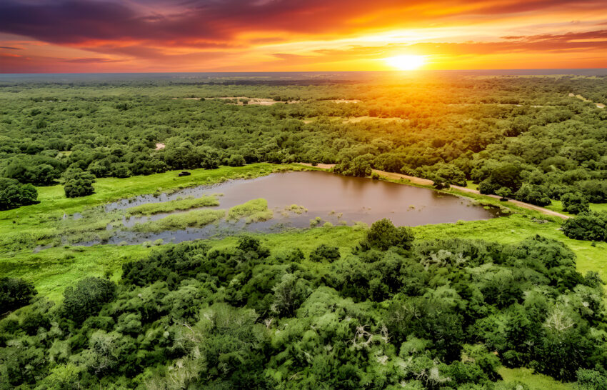 Double V Legacy Ranch 471 Acre Cattle Ranch for Sale in Victoria County Image 4