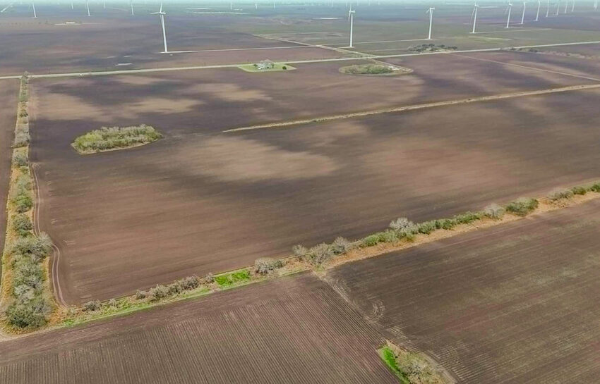 Lone Star Flats 44 Acre Ranch For Sale In Willacy County Image 5