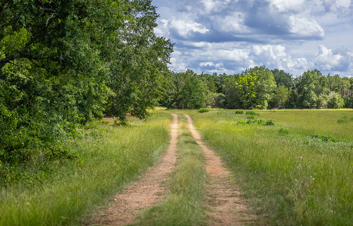Grassyville Ranch 140 Acre Ranch For Sale In Bastrop County Image 10