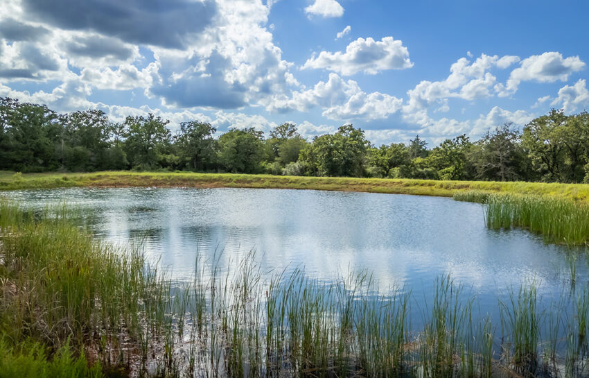 Grassyville Ranch 140 Acre Ranch For Sale In Bastrop County Image 12