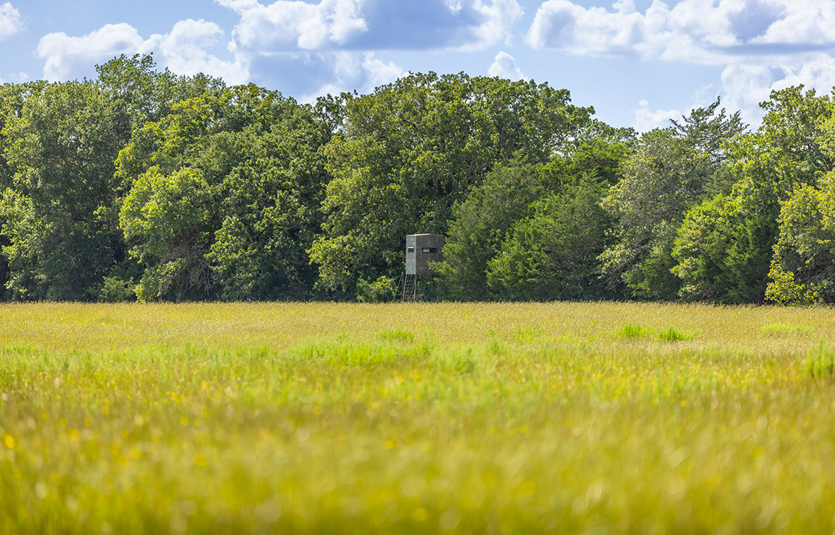 Grassyville Ranch 140 Acre Ranch For Sale In Bastrop County Image 16