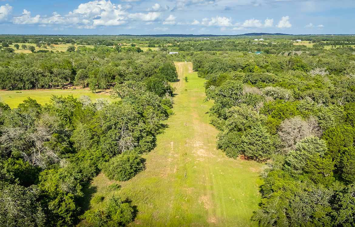 Grassyville Ranch 140 Acre Ranch For Sale In Bastrop County Image 18