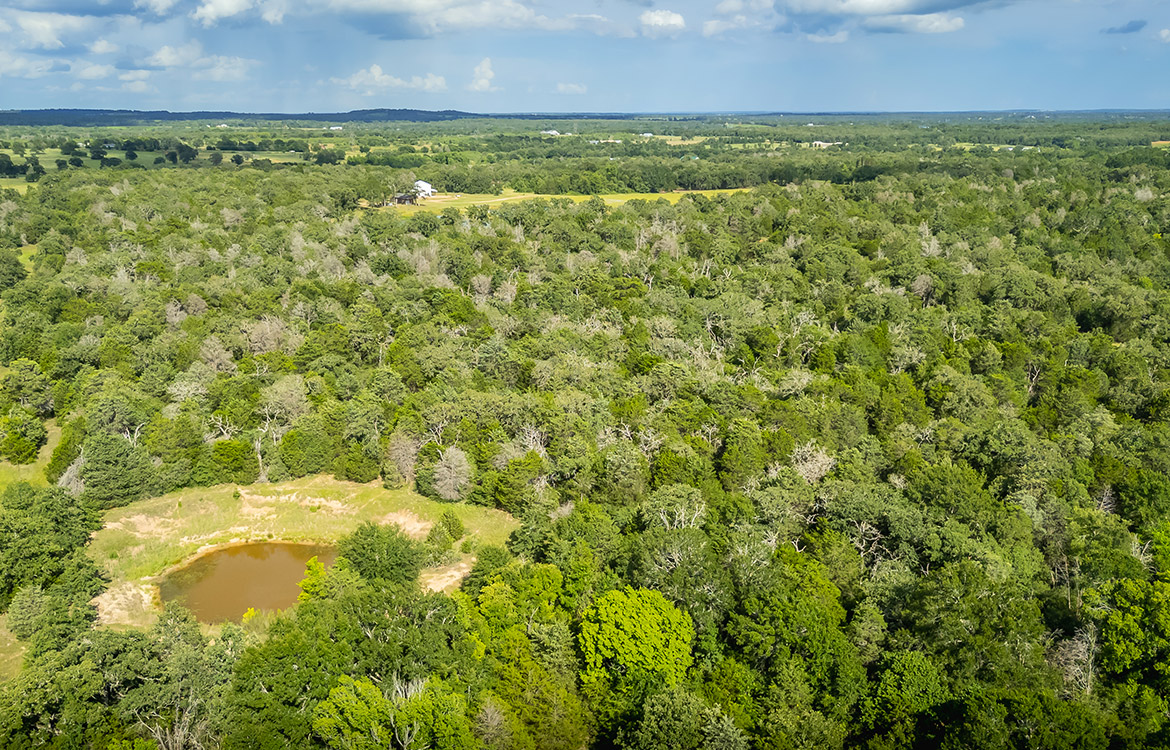 Grassyville Ranch 140 Acre Ranch For Sale In Bastrop County Image 19
