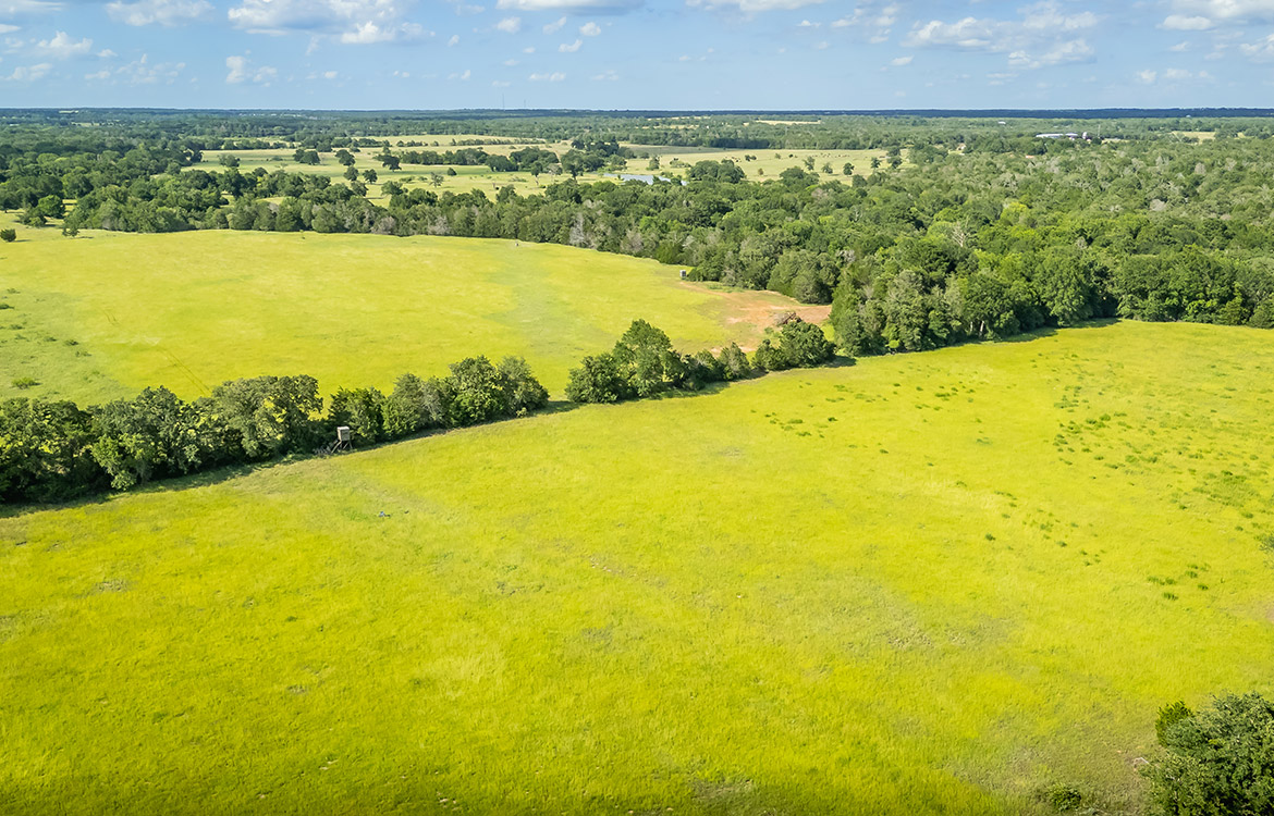 Grassyville Ranch 140 Acre Ranch For Sale In Bastrop County Image 20