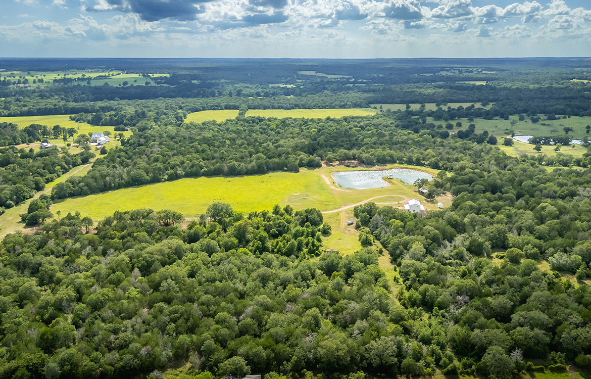 Grassyville Ranch 140 Acre Ranch For Sale In Bastrop County Image 21