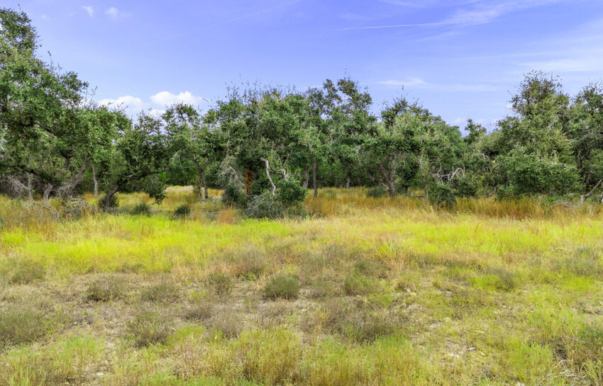 Windmill Ridge Ranchette 5 Acres For Sale in Blanco County Image 3