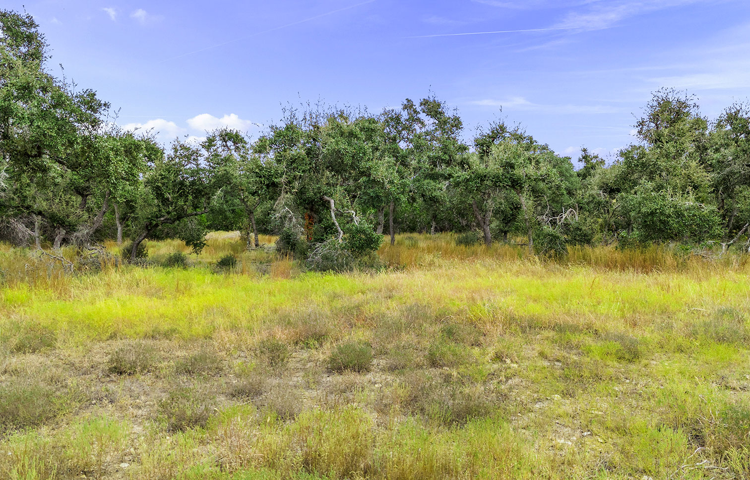 Windmill Ridge Ranchette 5 Acres For Sale in Blanco County Image 3
