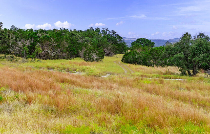 Windmill Ridge Ranchette 5 Acres For Sale in Blanco County Image 7
