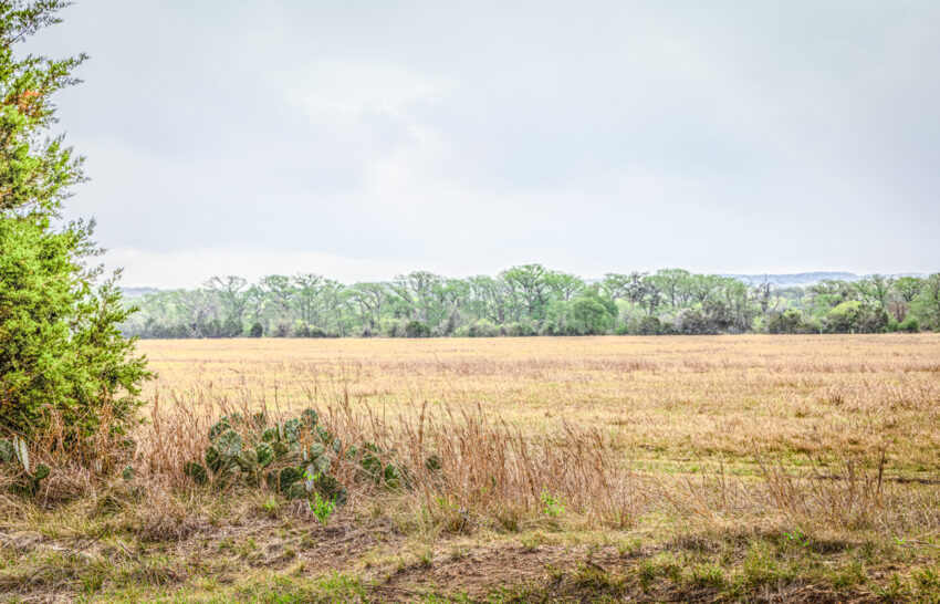 Little Blanco River 63 acre property for sale in Blanco County Image 10