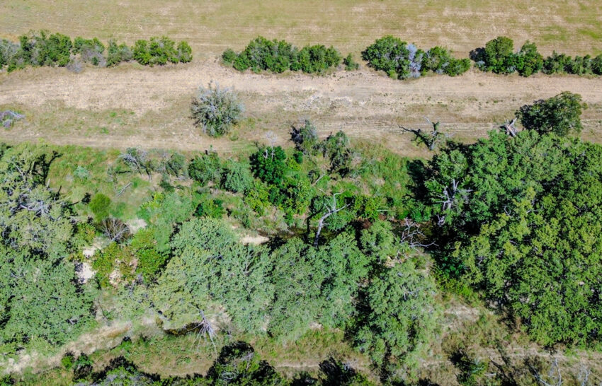 Little Blanco River 63 acre property for sale in Blanco County Image 11