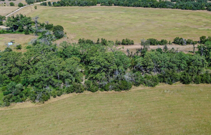 Little Blanco River 63 acre property for sale in Blanco County Image 12