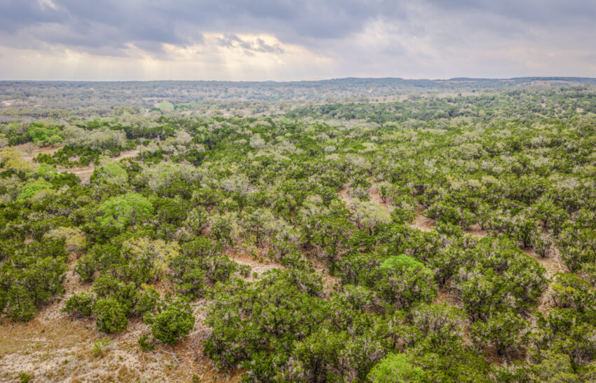 Little Blanco River 63 acre property for sale in Blanco County Image 15