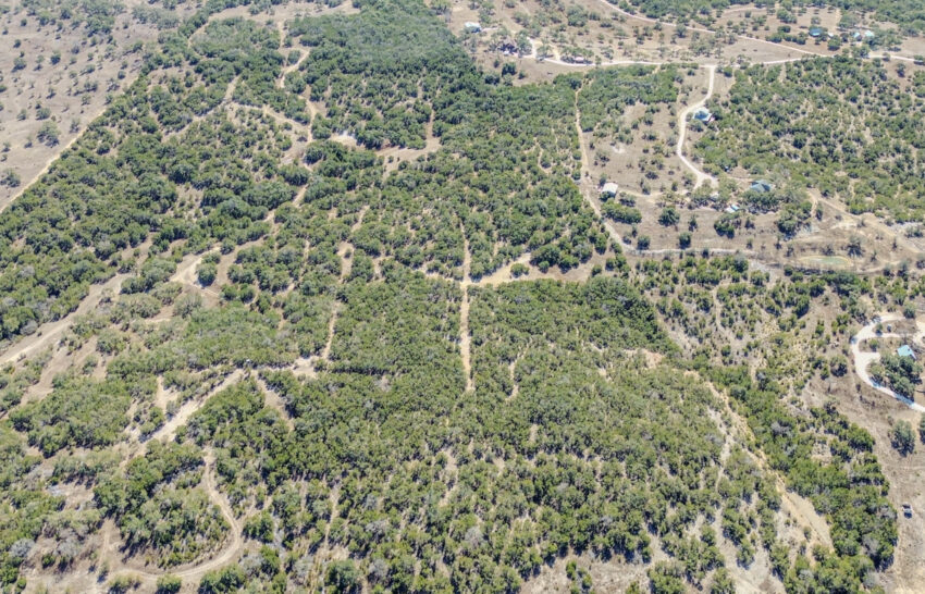 Little Blanco River 63 acre property for sale in Blanco County Image 17