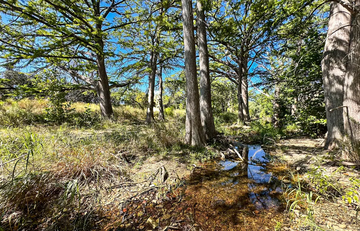 Little Blanco River 63 acre property for sale in Blanco County Image 2