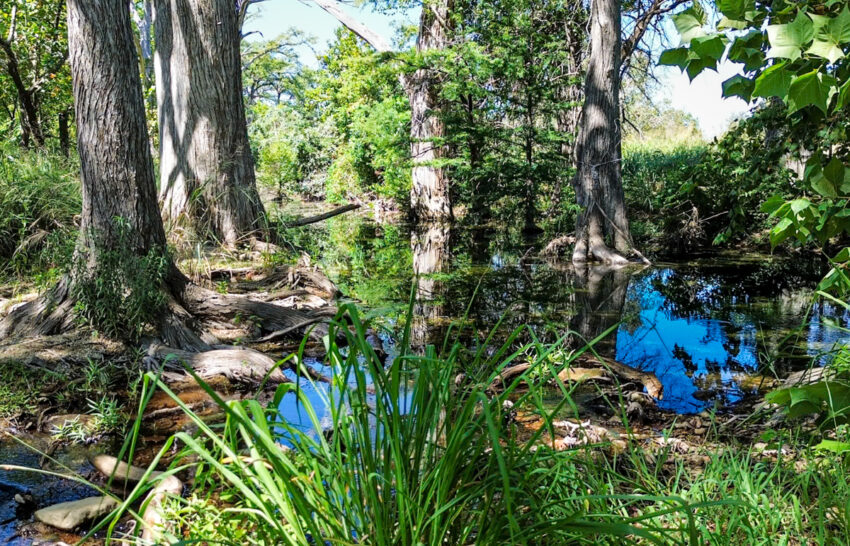 Little Blanco River 63 acre property for sale in Blanco County Image 3