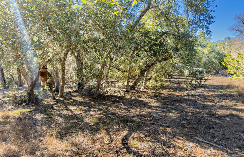 Little Blanco River 63 acre property for sale in Blanco County Image 5