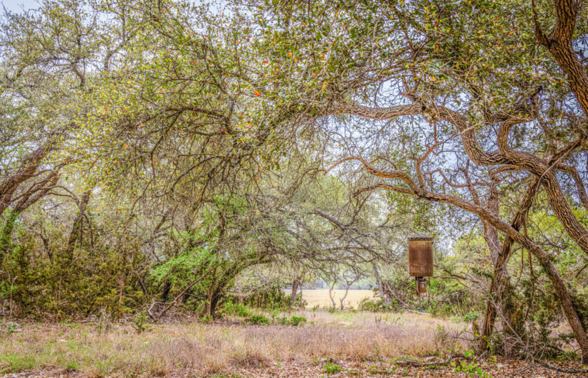Little Blanco River 63 acre property for sale in Blanco County Image 6