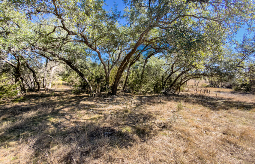 Little Blanco River 63 acre property for sale in Blanco County Image 7