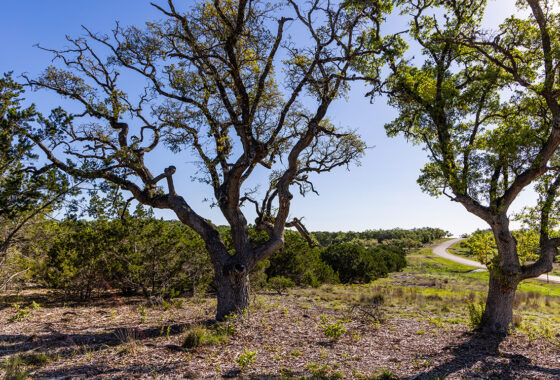 Centennial Ranchette 11 Acre Ranch For Sale In Comal County Image 1
