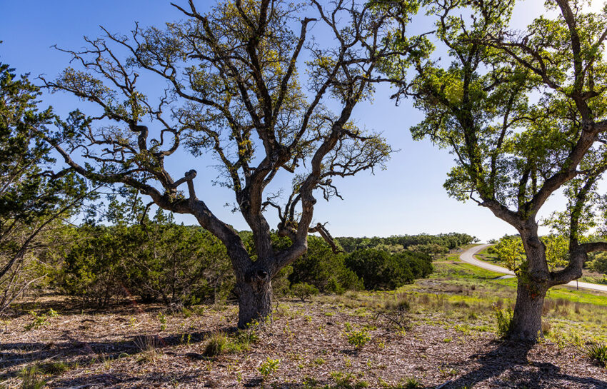 Centennial Ranchette 11 Acre Ranch For Sale In Comal County Image 1