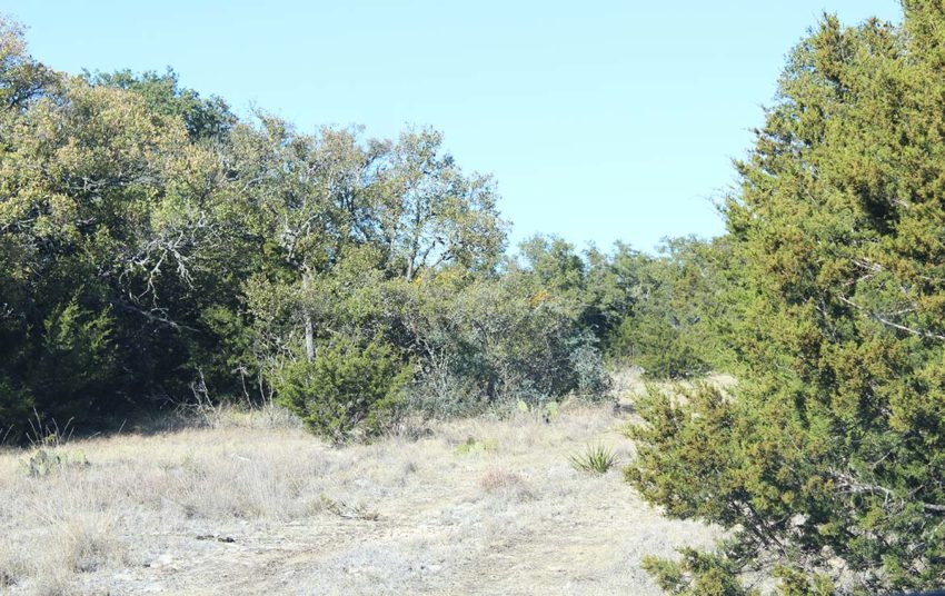 Highway 55 Ranch 100 Acre Ranch Edwards County Image 11