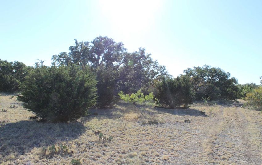 Highway 55 Ranch 100 Acre Ranch Edwards County Image 15