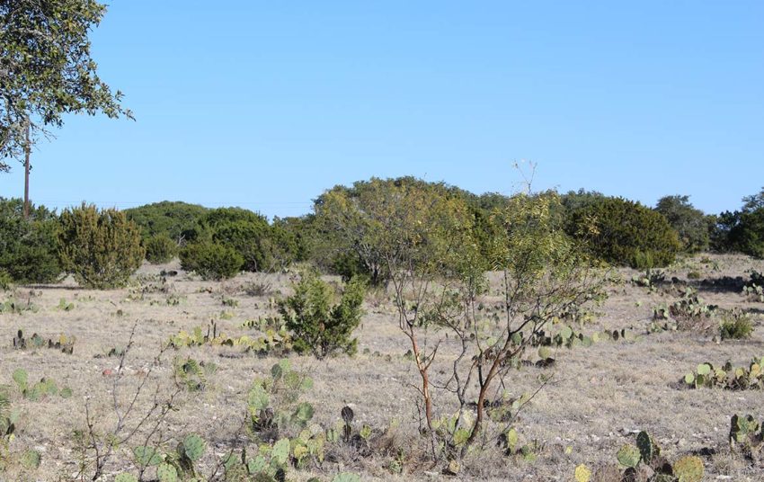 Highway 55 Ranch 100 Acre Ranch Edwards County Image 5