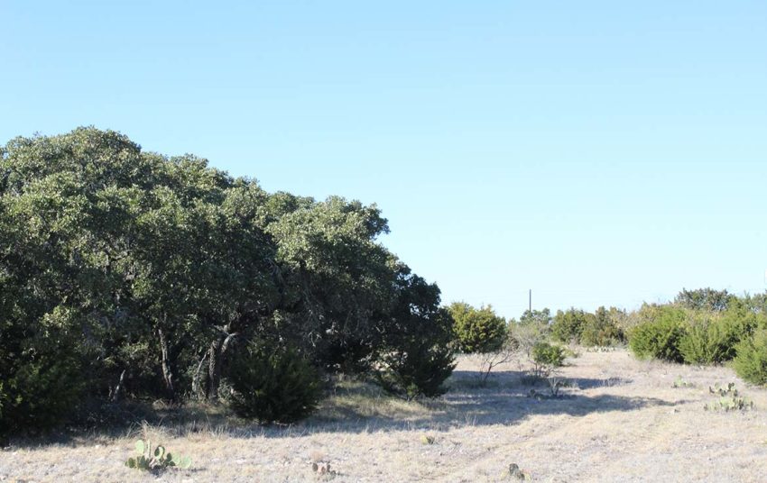 Highway 55 Ranch 100 Acre Ranch Edwards County Image 6