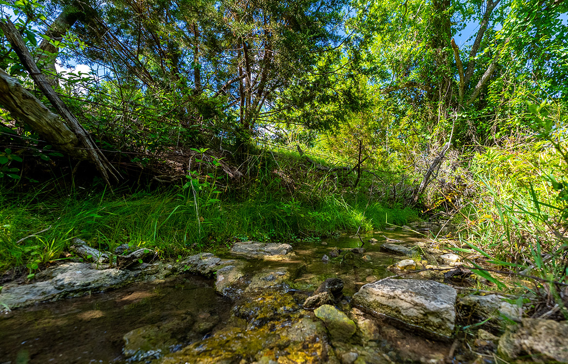 Triple Springs Ranch 146 Acre Ranch For Sale In Gillespie County Image 4