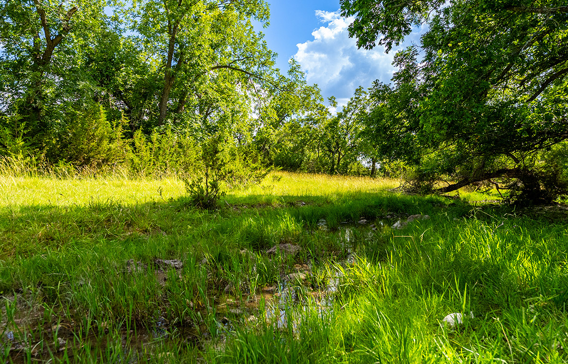 Triple Springs Ranch 146 Acre Ranch For Sale In Gillespie County Image 5`