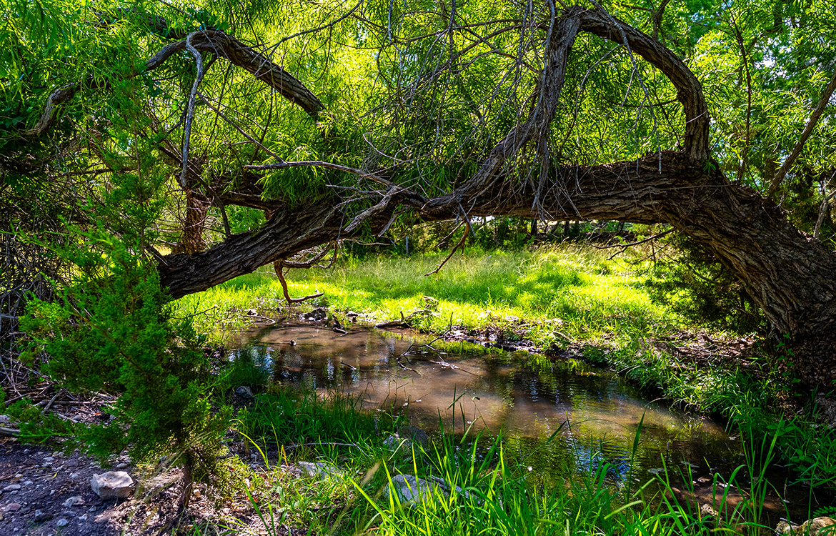 Triple Springs Ranch 146 Acre Ranch For Sale In Gillespie County Image 6