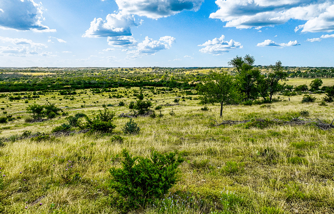 Triple Springs Ranch 146 Acre Ranch For Sale In Gillespie County Image 8