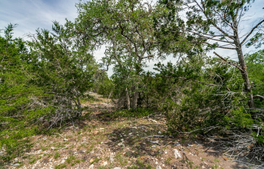 Dallenbach Ranch 32 Acre Ranch For Sale in Gillespie County Image 1