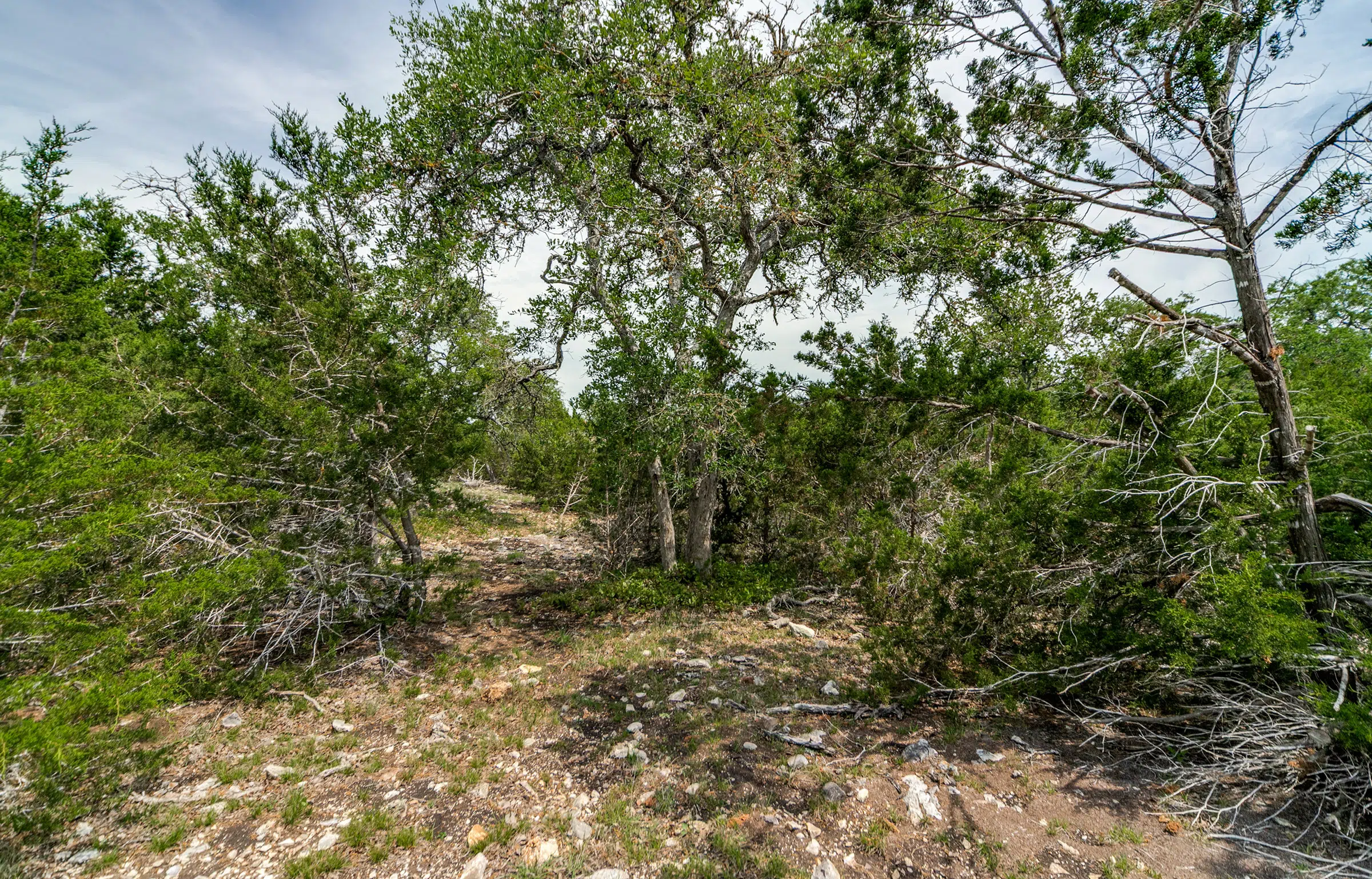 Dallenbach Ranch 32 Acre Ranch For Sale in Gillespie County Image 1