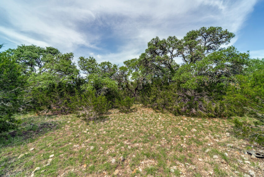 Dallenbach Ranch 32 Acre Ranch For Sale in Gillespie County Image 7